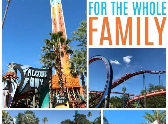 Walk2irbgympoolgamesfun Ferienhaus Clearwater Beach